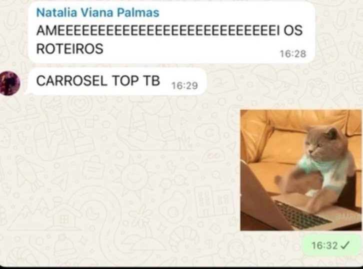 Print de conversa: cliente elogia roteiros e carrossel